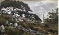 Paysage rocheux et boisé 